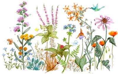 A Arte como Promessa de Amor